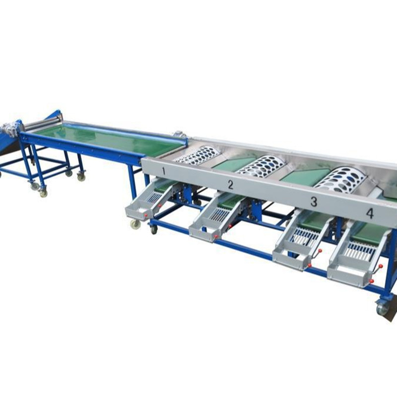 4 5 6 Grades Lifting Rotary Drum Potato Onion Garlic Sorting Grading Machine 