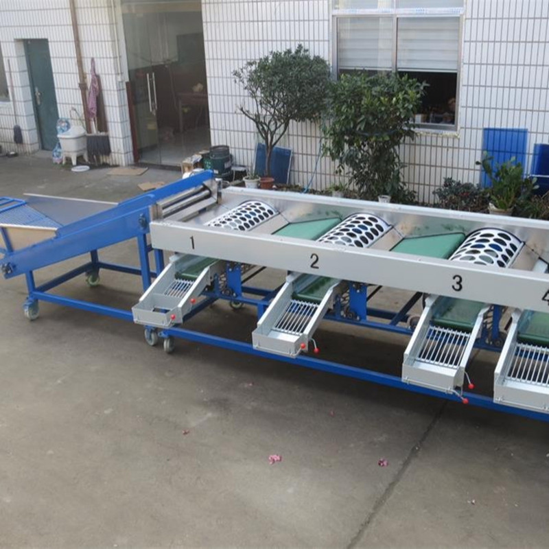 4 5 6 Grades Lifting Rotary Drum Potato Onion Garlic Sorting Grading Machine 