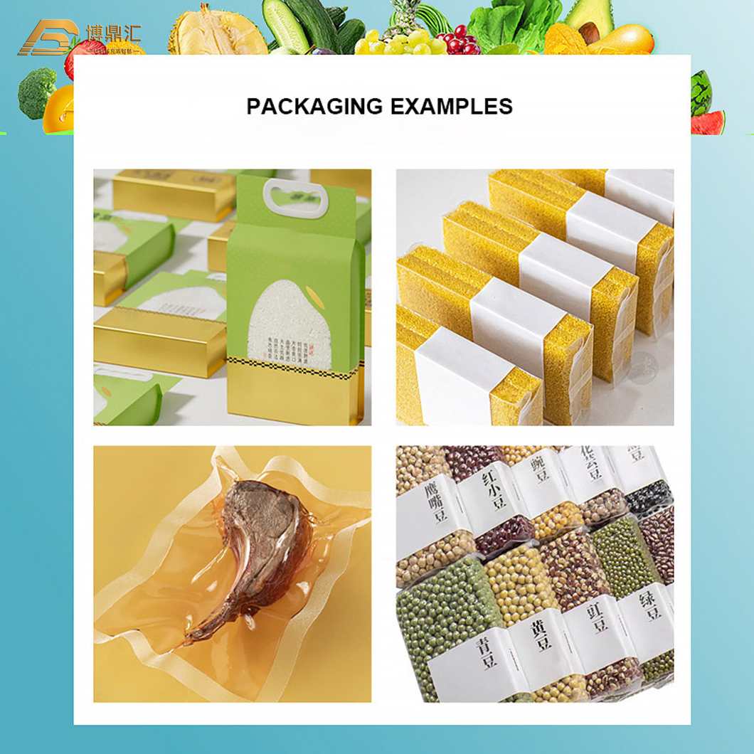 Bean Rice Nuts Brick Vacuum Plastic Bag Packer Sealing Machine