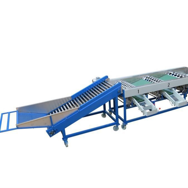 4 5 6 Grades Lifting Rotary Drum Potato Onion Garlic Sorting Grading Machine 