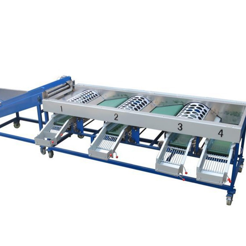 4 5 6 Grades Lifting Rotary Drum Potato Onion Garlic Sorting Grading Machine 