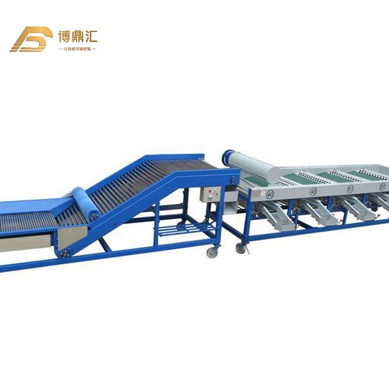 4 5 6 Grades Lifting Rotary Drum Potato Onion Garlic Sorting Grading Machine 