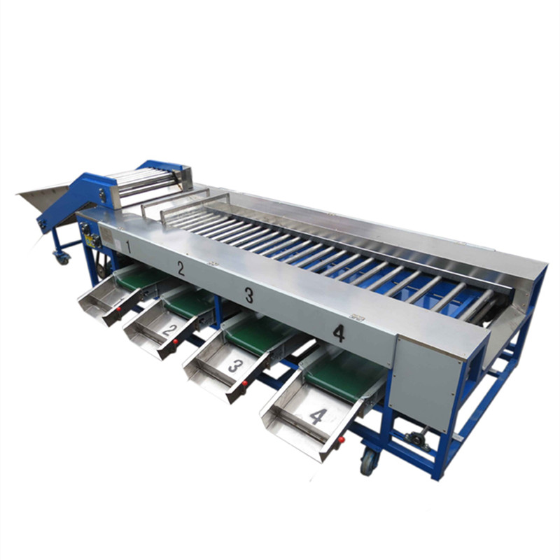 Potato Tomato Lychee Kiwi Apple Vegetable Fruit Picking Sorter Size Sorting Roller Grading Machine