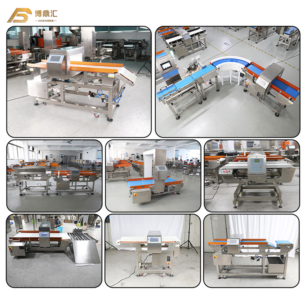 Industrial Metal Detector Machine for Food Industry Snack Chips Powder Detecting Equipment