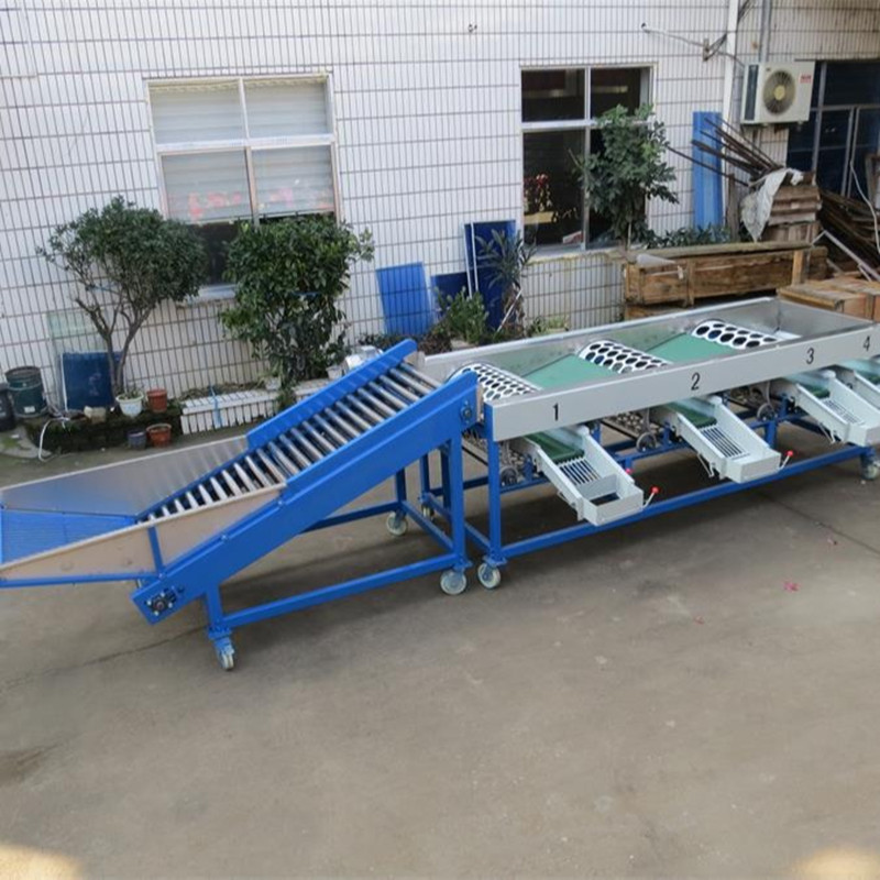 4 5 6 Grades Lifting Rotary Drum Potato Onion Garlic Sorting Grading Machine 