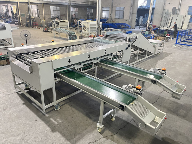 Potato Tomato Lychee Kiwi Apple Vegetable Fruit Picking Sorter Size Sorting Roller Grading Machine