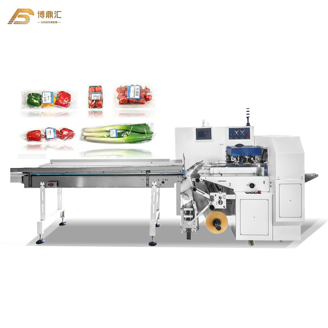 Horizontal Chicken Biscuits Cookie Frozen Fish Meat Automatic Vacuum Pillow Packing Machine