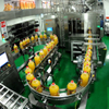 Plastic Bottled Mineral Water Production Line Automatic Filling