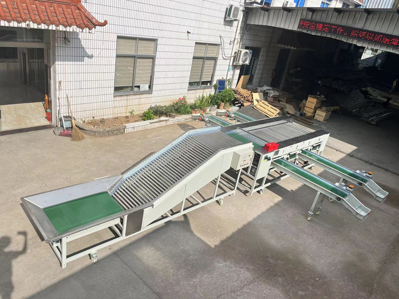 Potato Tomato Lychee Kiwi Apple Vegetable Fruit Picking Sorter Size Sorting Roller Grading Machine