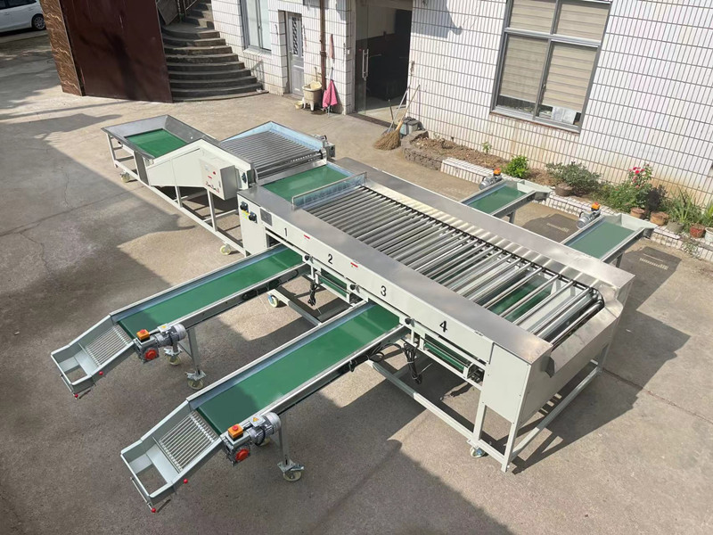 Potato Tomato Lychee Kiwi Apple Vegetable Fruit Picking Sorter Size Sorting Roller Grading Machine