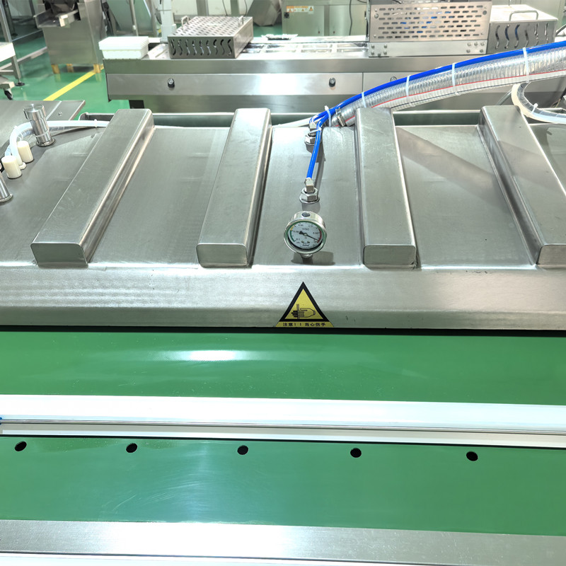 Automatic Meat Fish Chicken Case Food Bag Continuous Rolling Belt Type Vacuum Packaging Machine